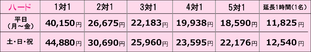 八汐 コンパニオンパック-ハードコース料金表